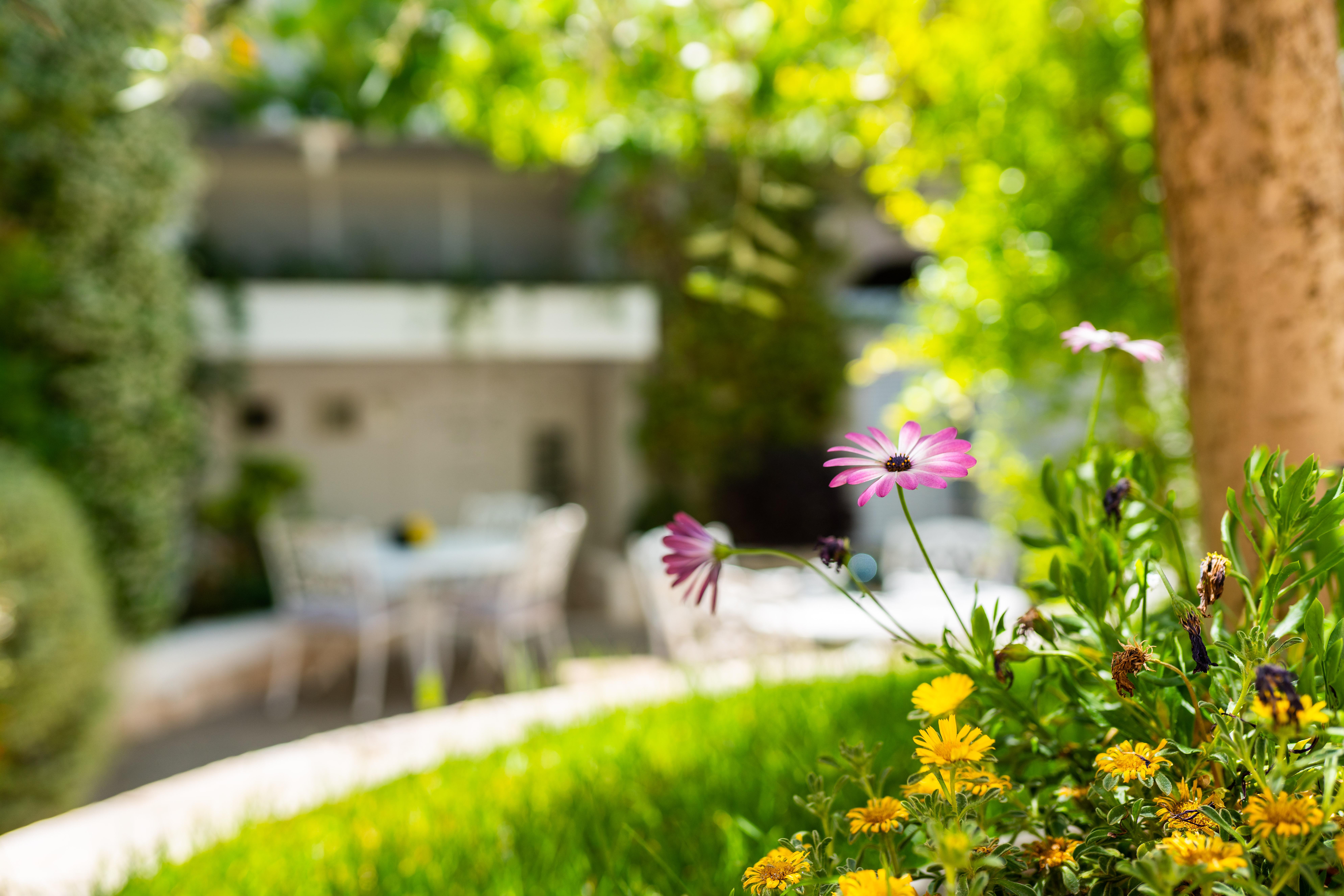 Hotel Palazzo Scotto (Adults Only) Alberobello Exterior foto