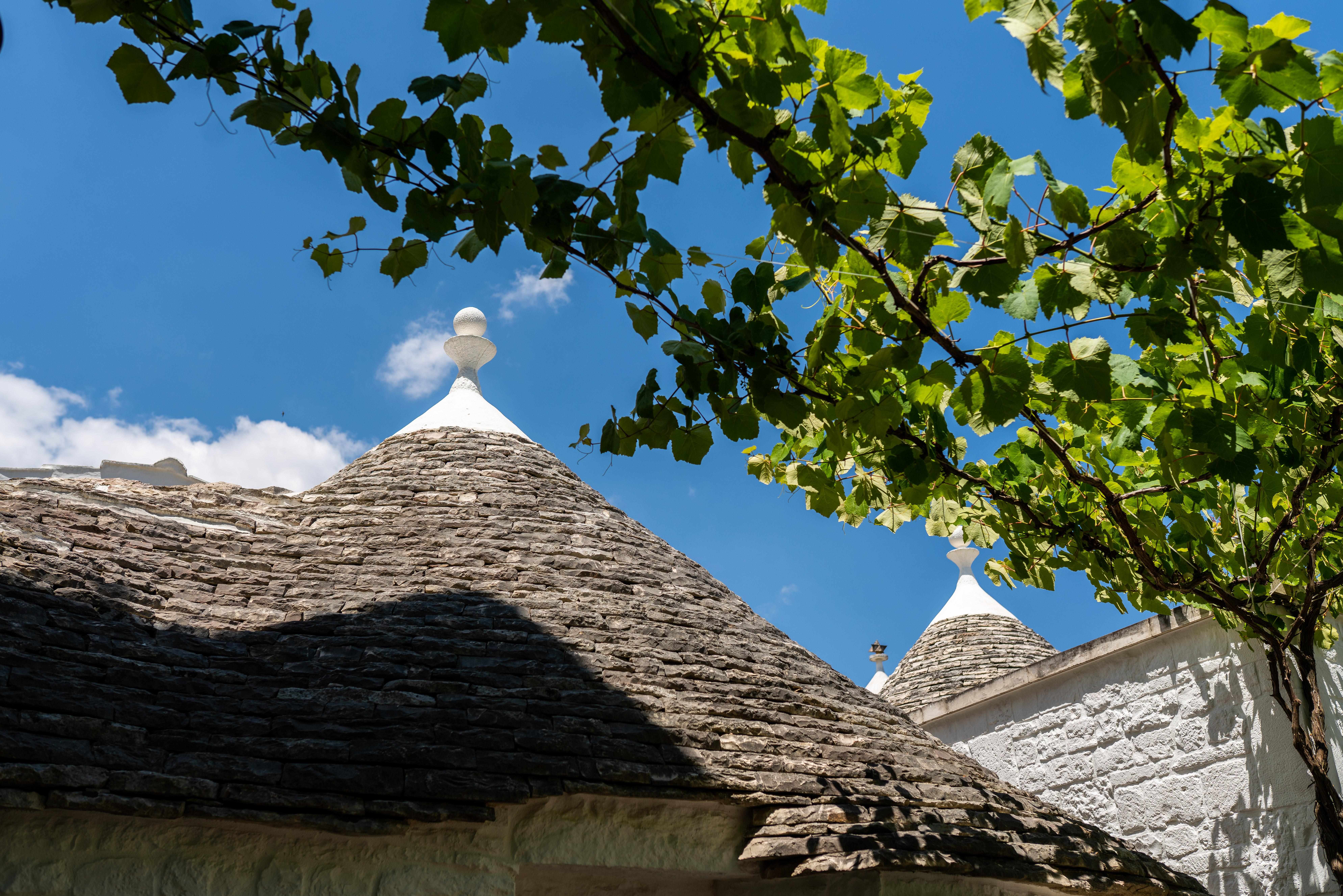 Hotel Palazzo Scotto (Adults Only) Alberobello Exterior foto